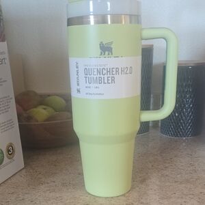 Stanley Quencher H2.0 Tumbler - Light Green 40 Oz
